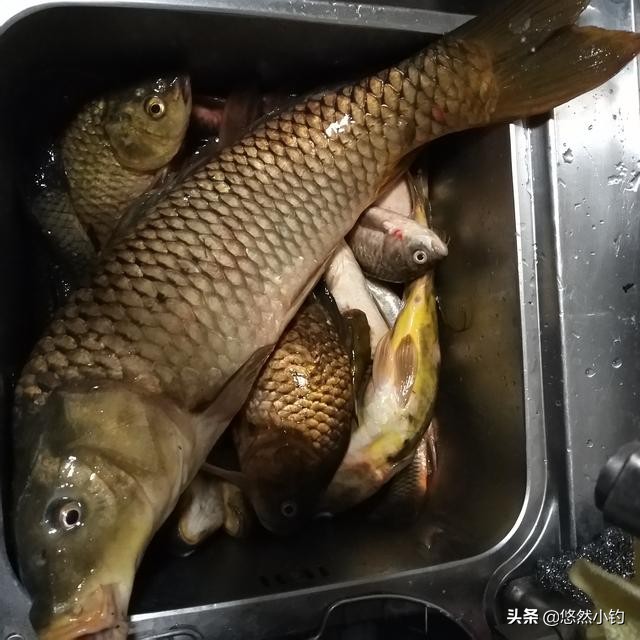 新手如何快速调漂精准找底,所有调漂找底正确方法与技巧