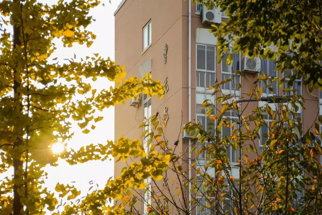 权威发布丨2020年宁波大学硕士研究生招生章程