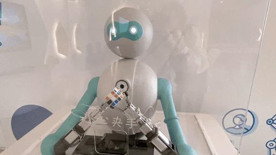 青岛海边遛娃免费十佳去处,青岛夏季遛娃