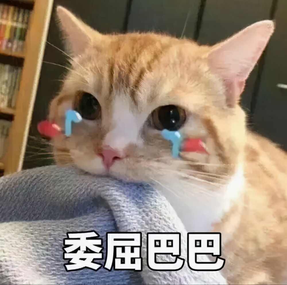 毛巾市场跨境卖家为学校捐赠2000万!原来用关键词找市场那么简单