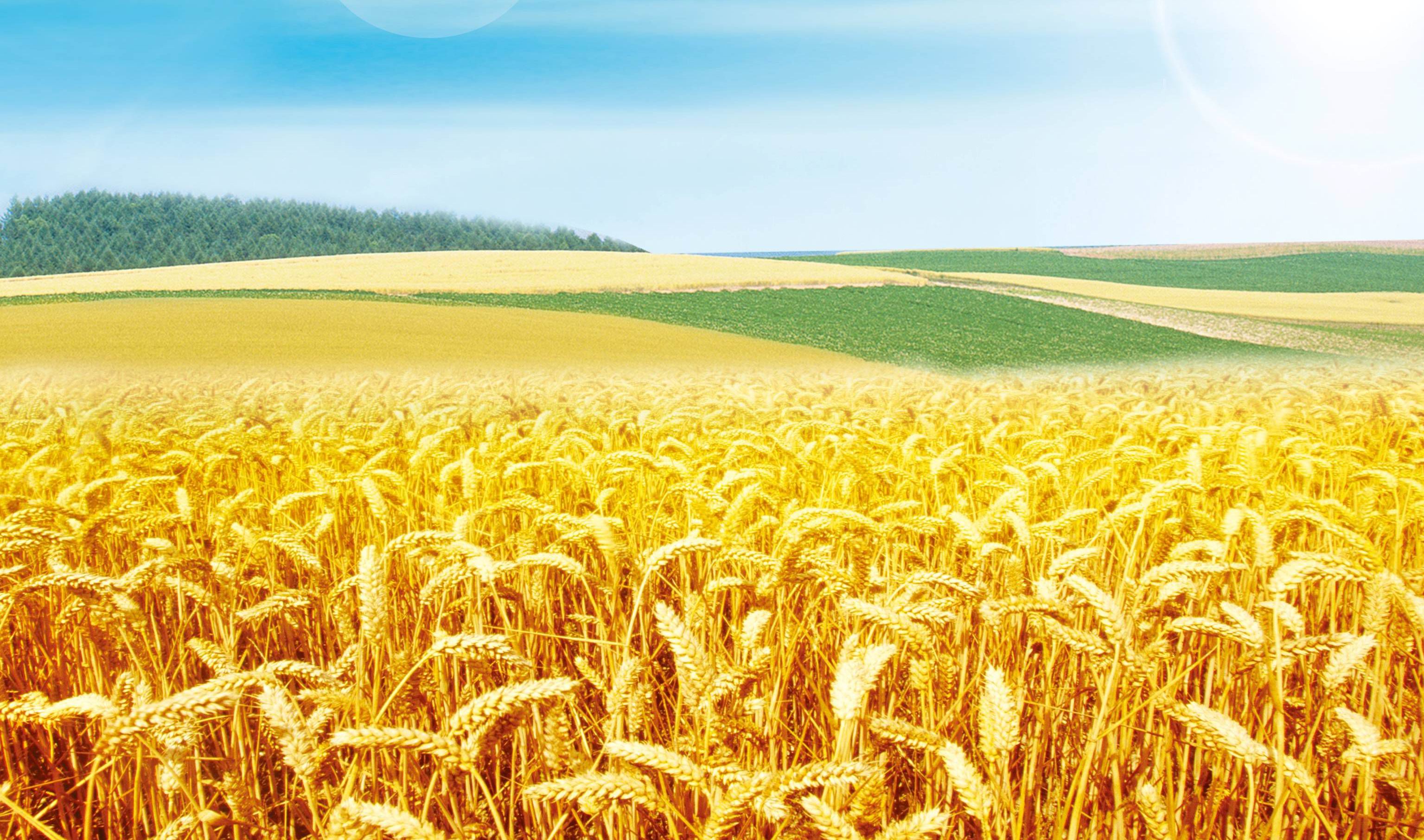 都说继承明朝衣钵的清朝太黑暗,那明朝怎么样?一个明朝人告诉你