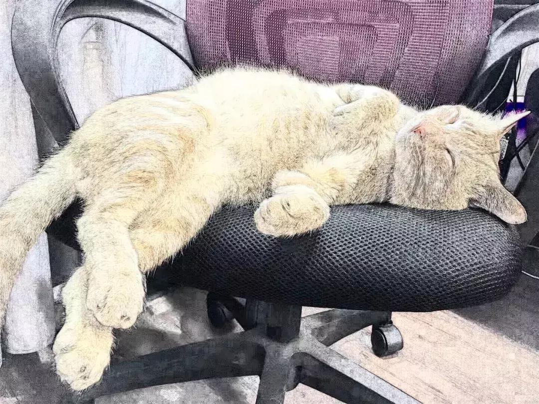 深圳合租生活实在不易,在深圳合租好吗