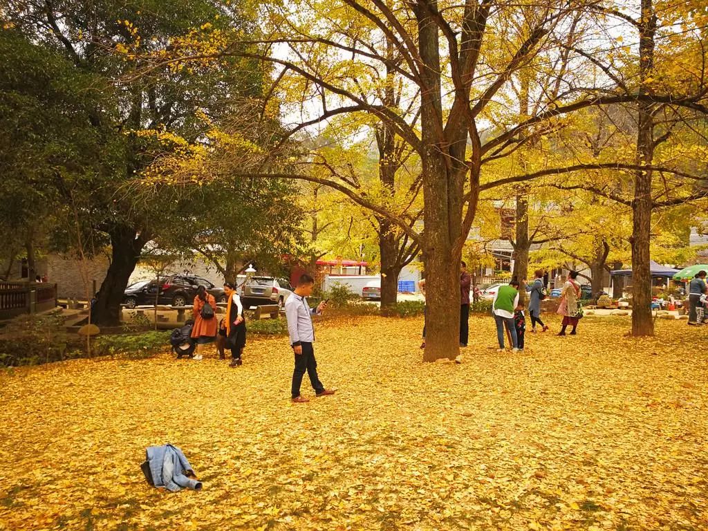 秋季人少景美的小众旅行地,最清静优雅的旅游之地