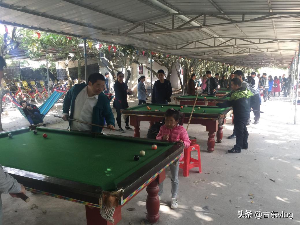 九龙生态农业园怎么样,九龙生态园