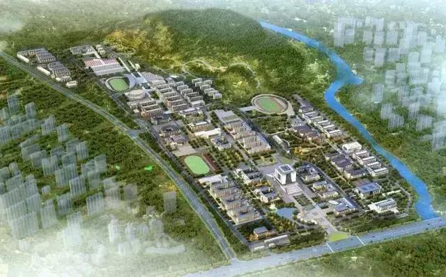 山东省高考志愿填报96个专业,山东高考志愿10万名