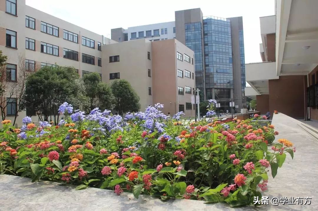 日月光华旦复旦兮是复旦校训吗,日月光华旦复旦兮是哪首诗