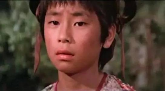 王杰被毒哑事件自导自演,歌手王杰被什么人毒哑的