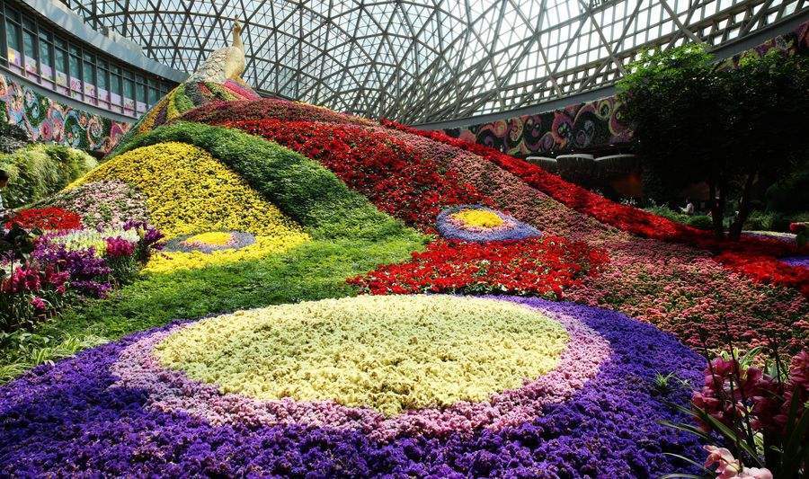 昆明旅游景点自由行攻略路线推荐,昆明旅游景点自由行攻略大全