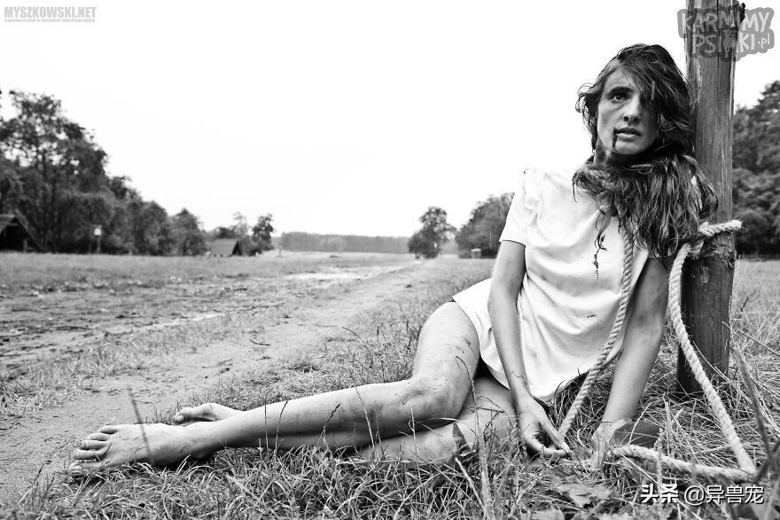 当治病钱有限的时候该怎么办,为什么宠物治疗费用这么高