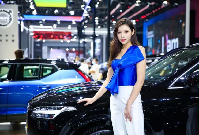 成都车展最新事件,成都车展媒体和观众冲突