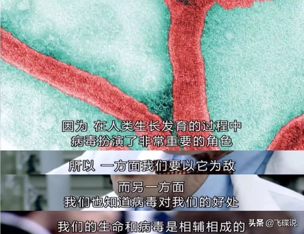 疫情下彻底看清了人性,疫情下摆正心态