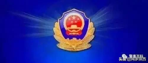 2020刑法十大案件,我国刑法494个罪名