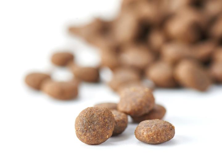 如何选猫粮价格不贵的品牌,如何挑选一款物美价廉的猫粮