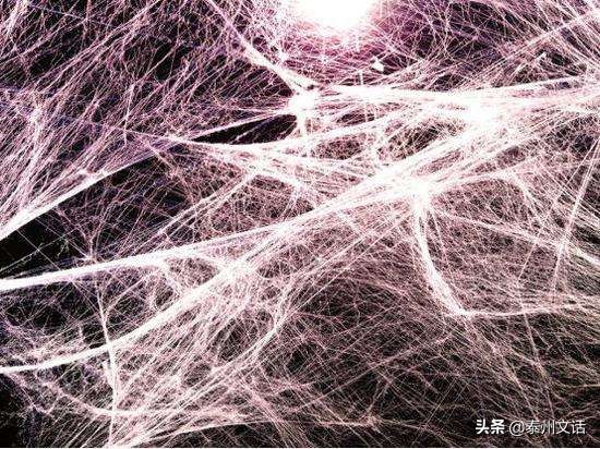 筋膜枪是什么,筋膜枪推荐排行榜前十名