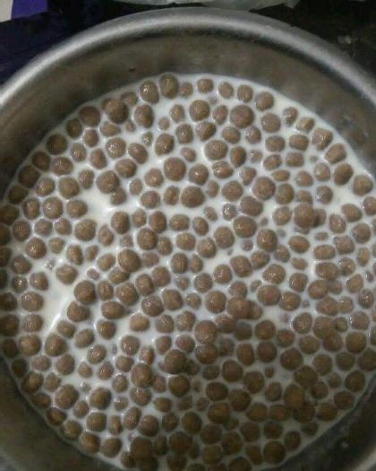 狗狗喂食狗粮的正确方法,过渡期怎么让狗狗吃干狗粮