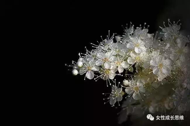 思维教练|自从我妈退休以后，很害怕和她相处，怎么办？