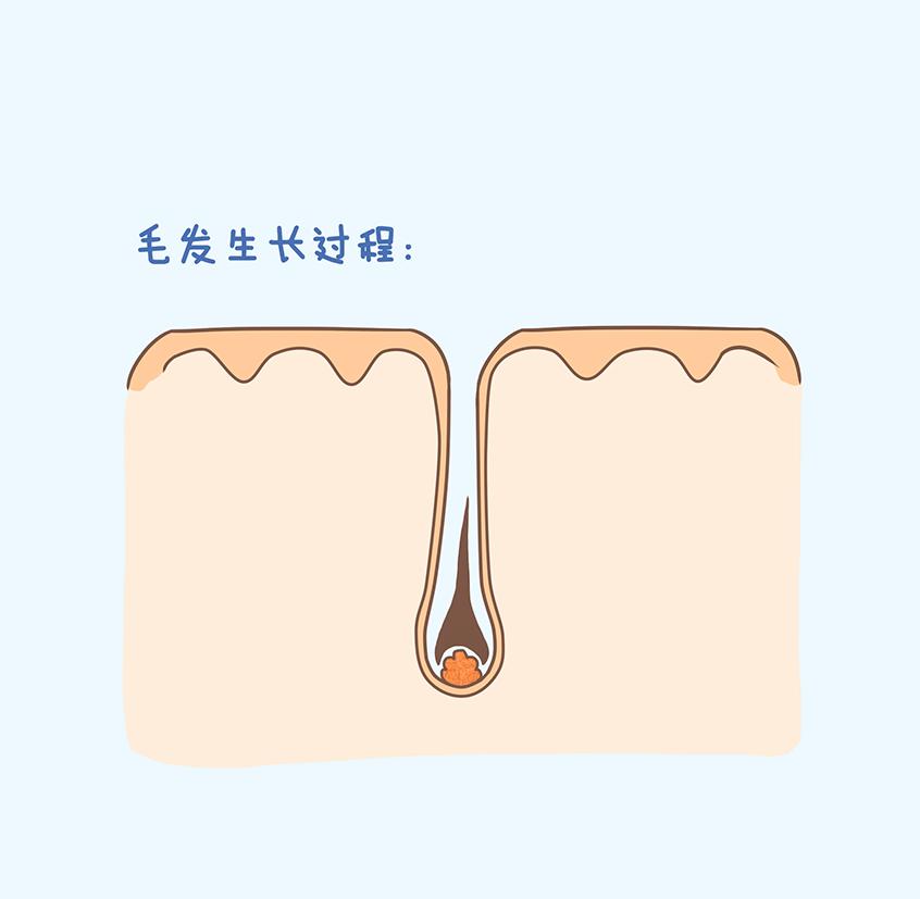 长白头发代表老了吗,年轻人长白头发的原因及调理