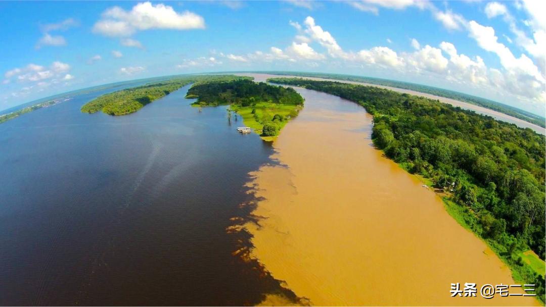 热带雨林木地板,户外庭院木地板推荐