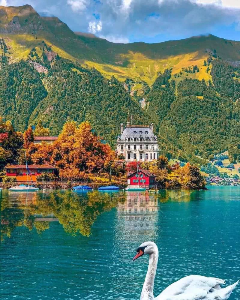 爱的迫降瑞士拍摄地,爱的迫降最后镜头瑞士取景