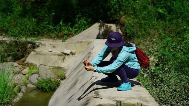 华夏鼎辉集团有限公司,华夏鼎晖集团