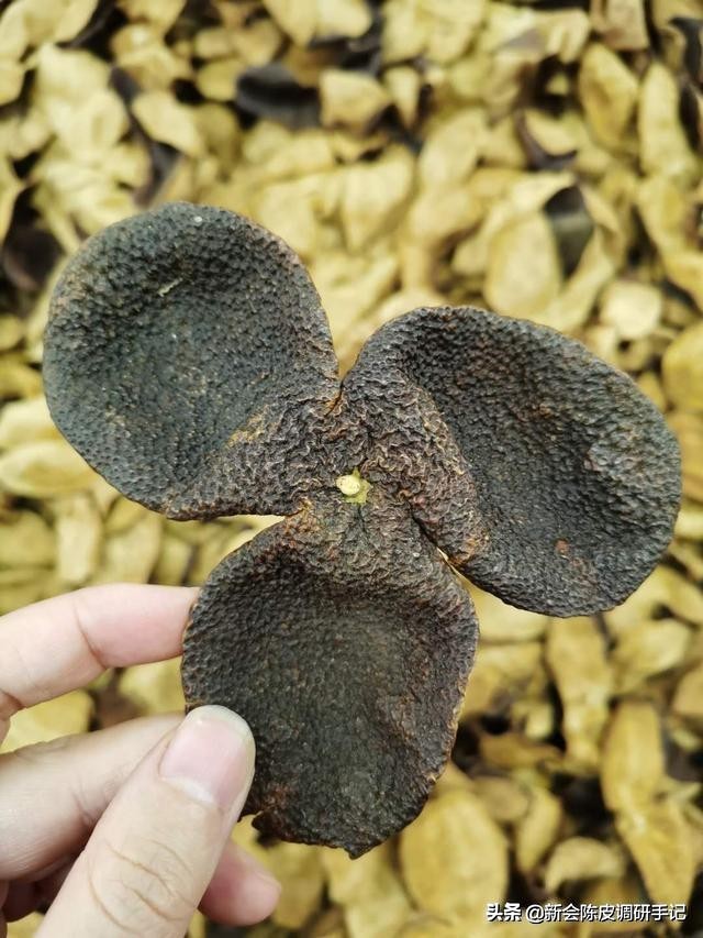 网购陈皮,网上买陈皮看什么标准