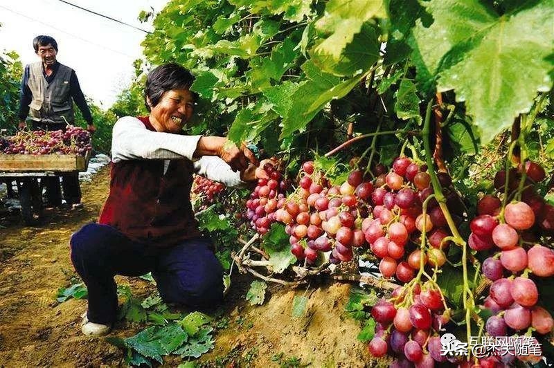 如何扩大消费需求,如何创造消费需求