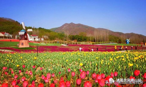 佛山端午出行旅游攻略,五一小长假出行指南