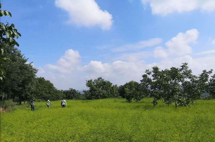 生态宜居家园风景,生态环境美丽家园