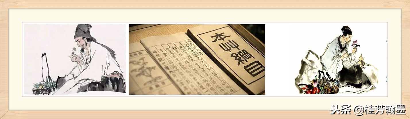 周福堂第三代传人钟延文|周福堂始创于1938年源于清末光绪26年