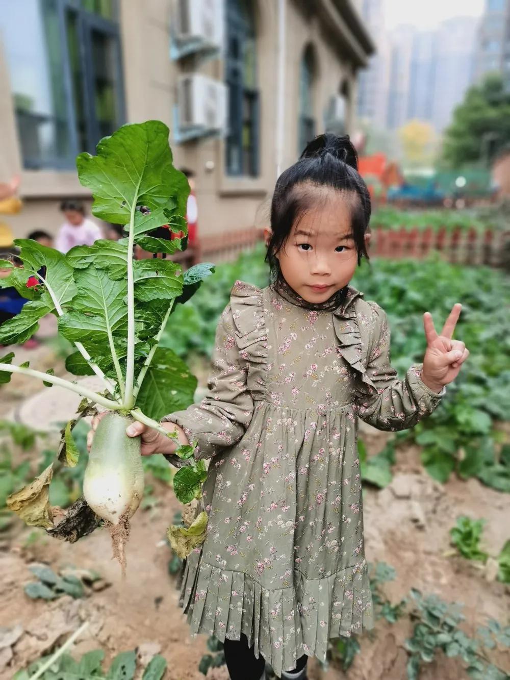 高新区汇爱国际幼稚园,高新区汇爱幼稚园的日常生活