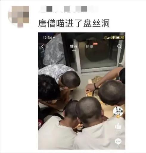 自从有了猫,自从有了猫以后好像变了一个人