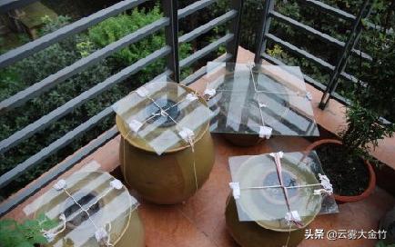 家庭自酿黄豆酱(酱油)-感受食品发酵的神奇