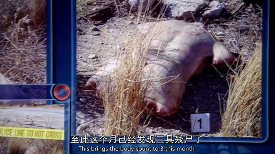 最变态杀人屠夫,杀人犯史蒂文