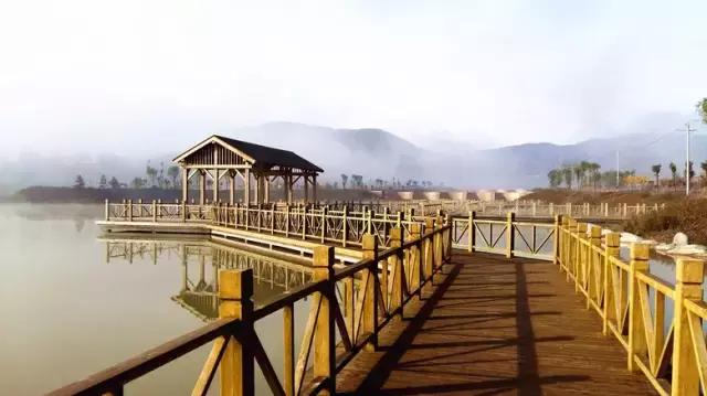 后来的我们，相遇在泾源