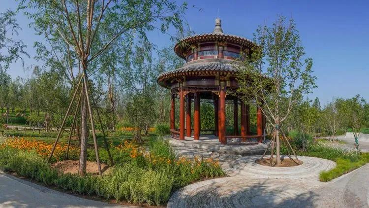 儿童乐园绿心公园,绿心公园儿童游乐区最新视频