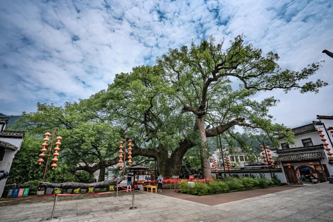 歙县寻古三日游最佳路线,念念不忘自驾游