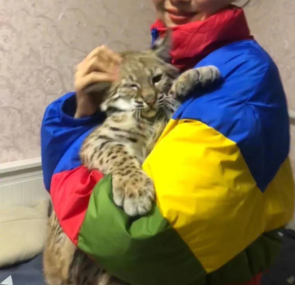 范冰冰算犯罪吗,范冰冰算不算劣迹艺人