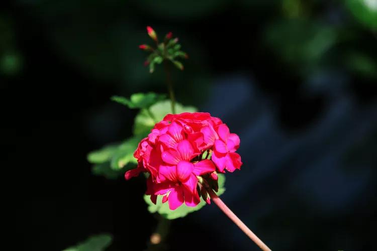 尼康入门单反,单反快速入门攻略