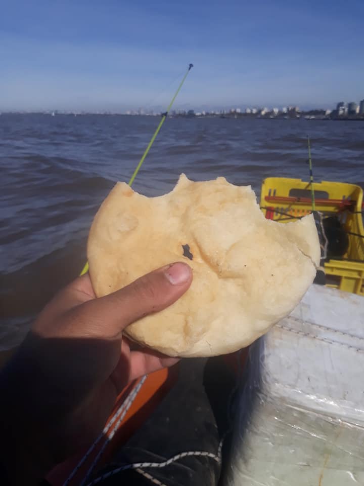 这才是最真实的国外钓鱼人，别崇洋媚外了，原来我们都被骗了