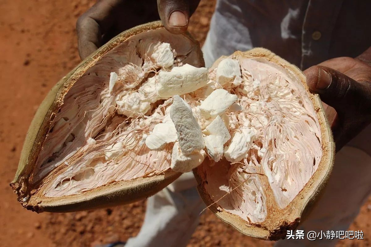 马达加斯加冷知识,马达加斯加的特点和路线