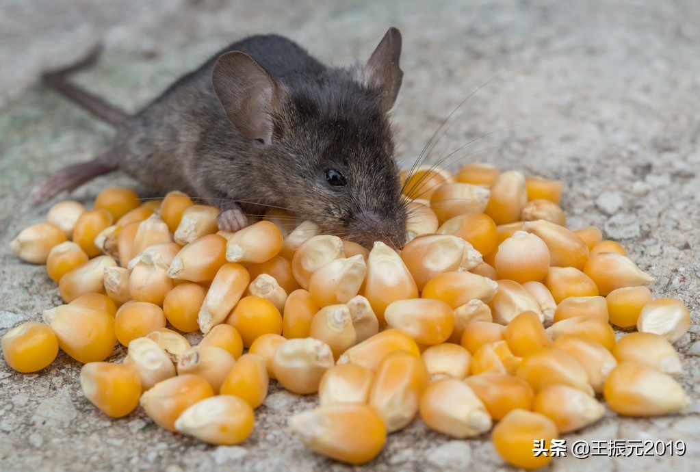 防臭脚丫的简单方法,怎样才可以让臭脚丫变得不臭
