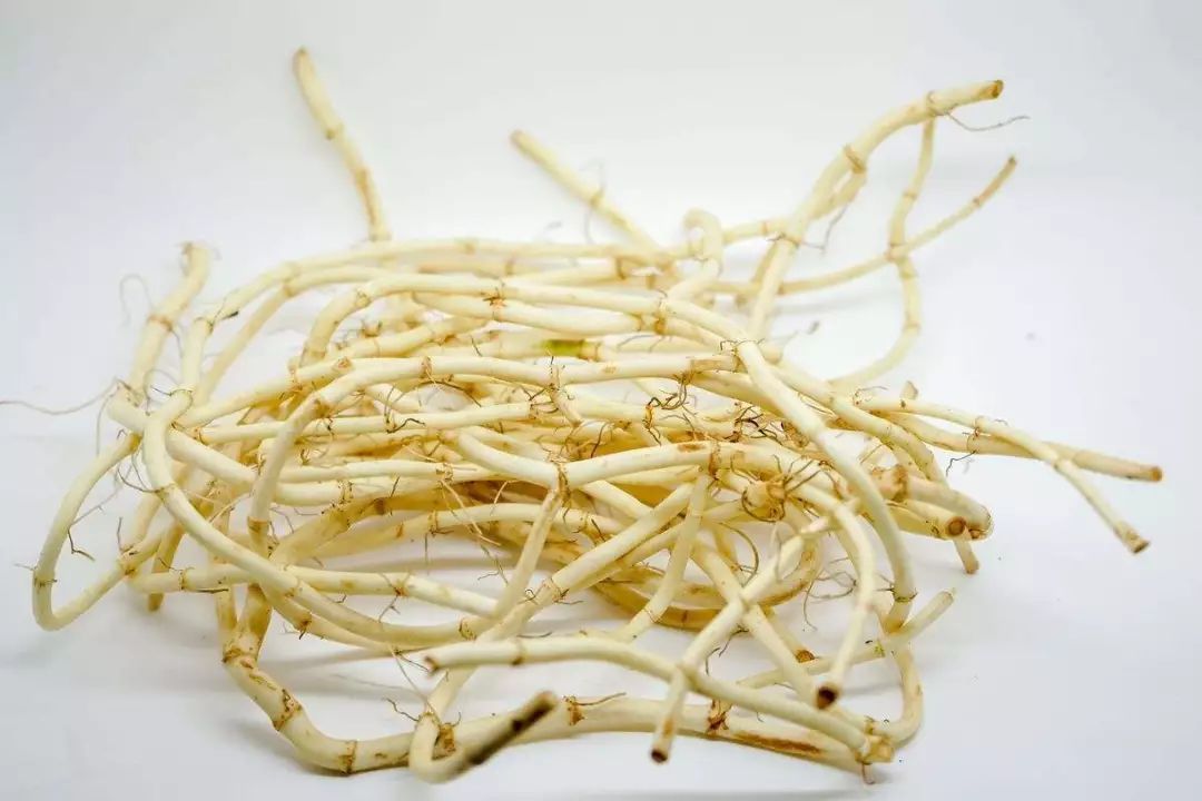 哪些食物含嘌呤高尿酸高人不能吃,哪些嘌呤高的食物尿酸高不能吃