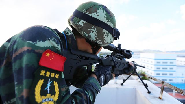 *器武**不同但口径相同，就能使用所有同口径*弹子**吗？其实没那么容易