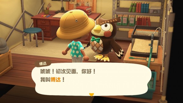动物之森新手开局,动物之森新手入门教程