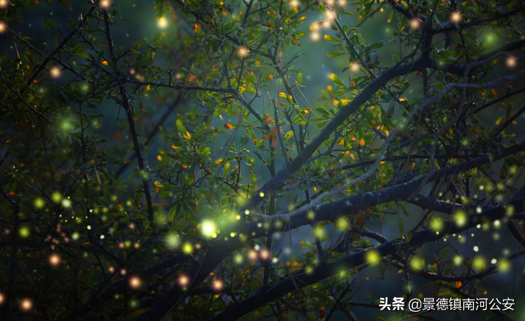 古诗夏夜微凉,古诗夏夜朗诵