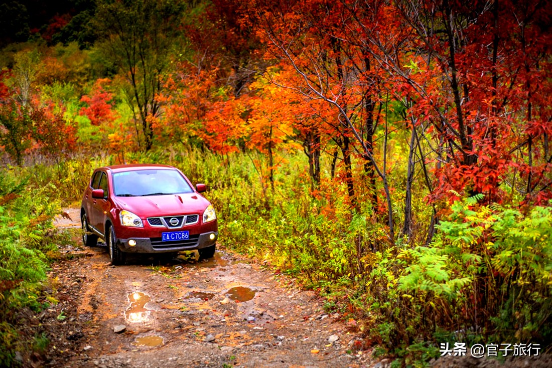 中华枫叶之路自驾游攻略,中华枫叶大道自驾游路线