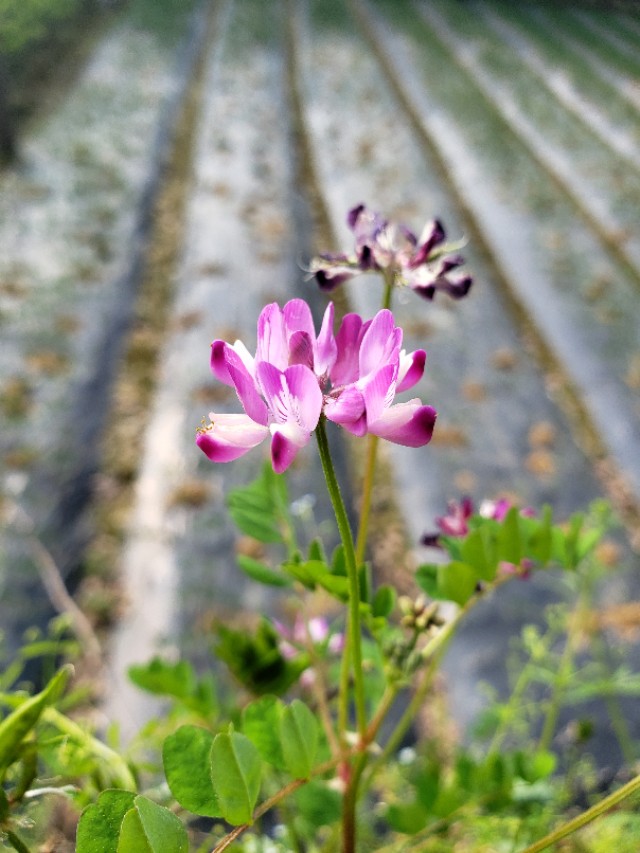 悠闲的时光惬意的生活,一个人的惬意时光诗词