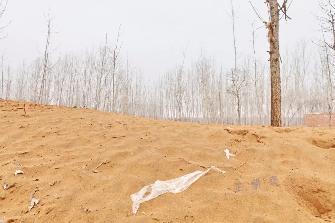 尹吉甫评价杨柳依依,昔我往矣杨柳依依许渊冲