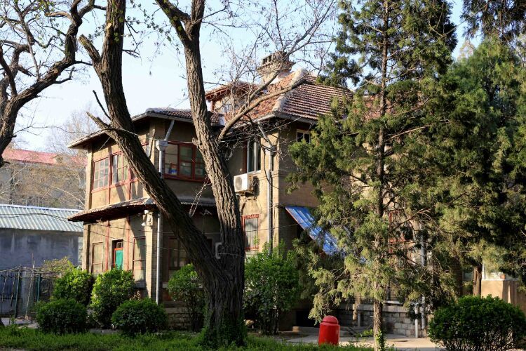 百年山东看青岛千年齐鲁逛青州,山东大学趵突泉景区