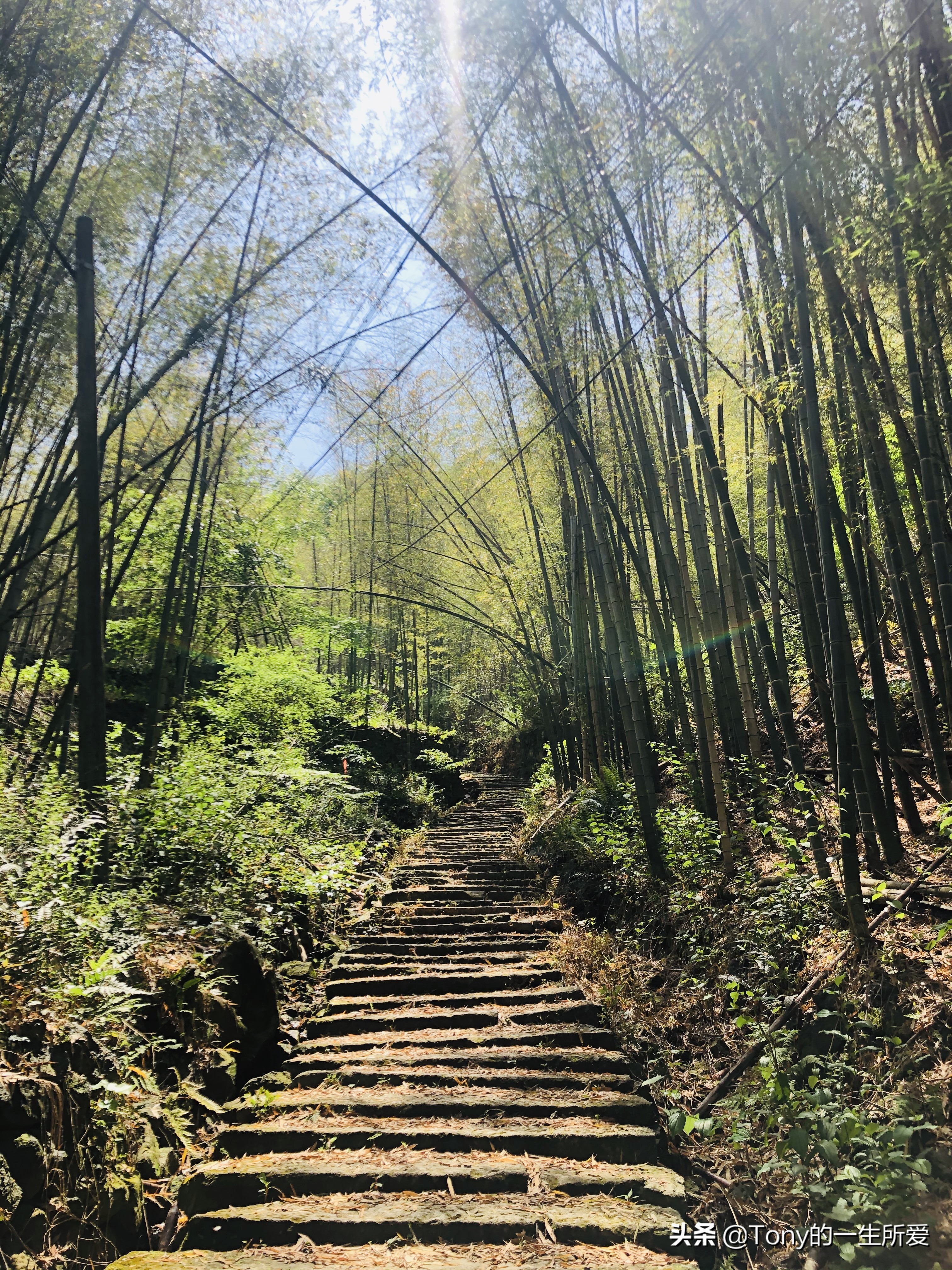 长亭古道旅游攻略,长亭外古道边古道在哪里